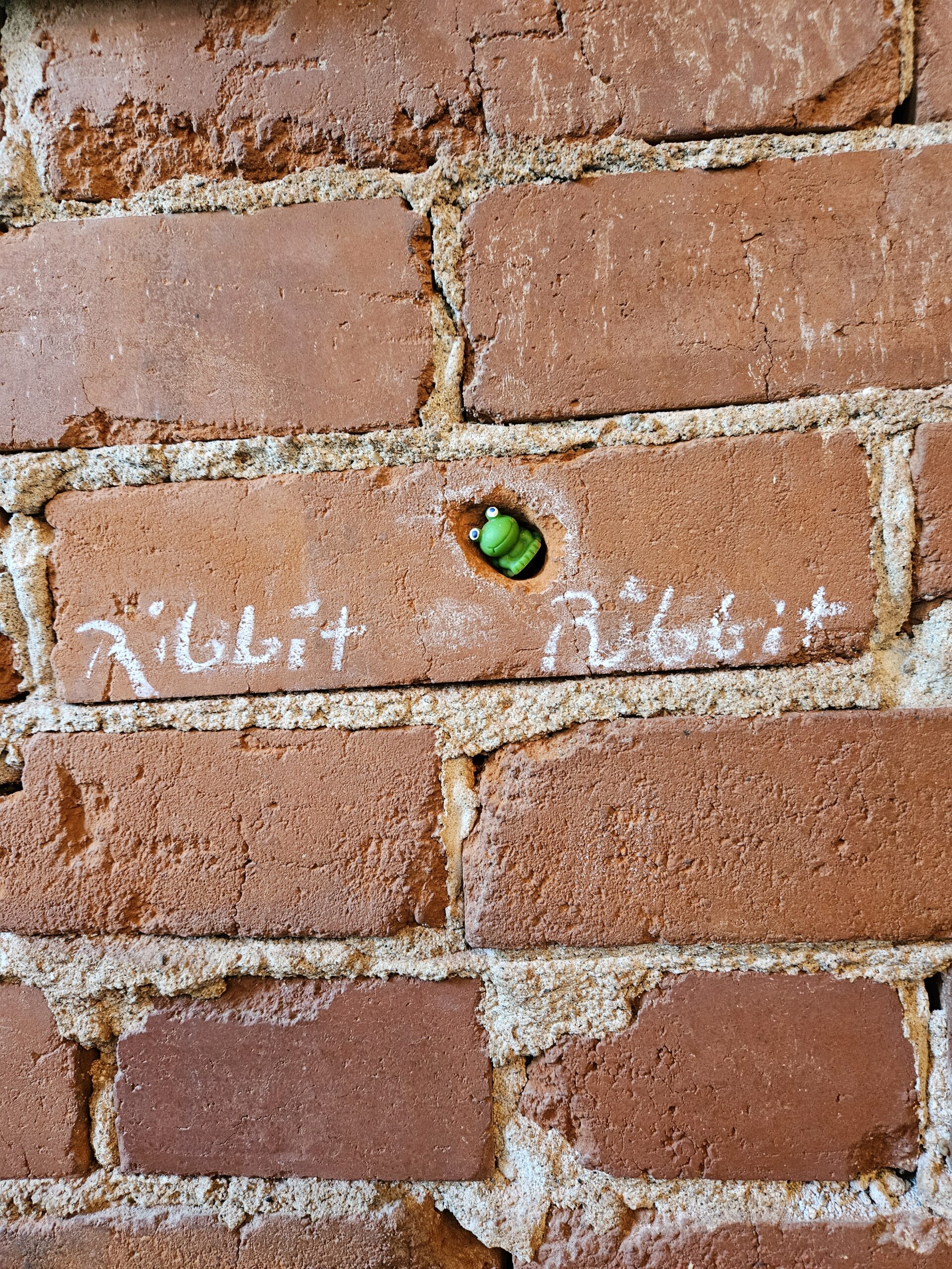 Tricky found art. Is this where the frog wants to be?